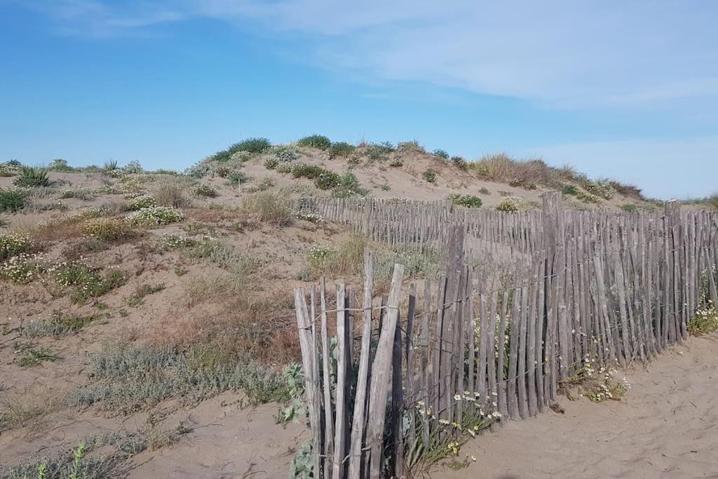 Marseillan-Plage Appartement Coeur De Sable 외부 사진